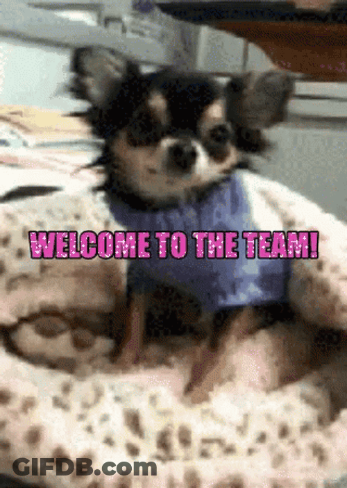 Dog Smiling Welcome To The Team Meme GIF