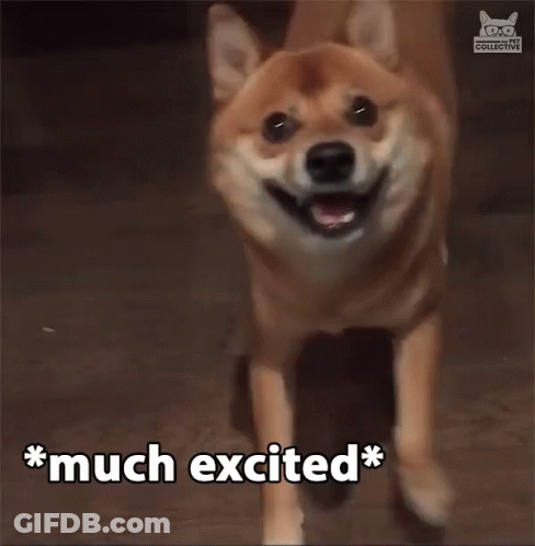 Dog Smiling With Very Wow Above GIF