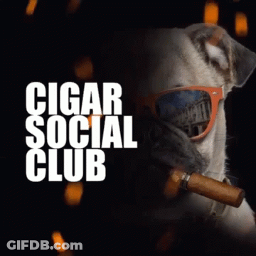Dog Smoking Cigar In Sunglasses Cigar Social Club GIF