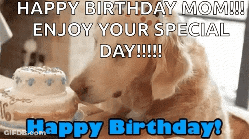 Dog Sniffing Birthday Cake Happy Birthday Mom GIF
