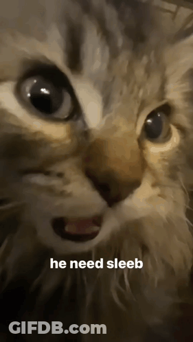 Dog Sniffing Mop With ViralHog Logo GIF