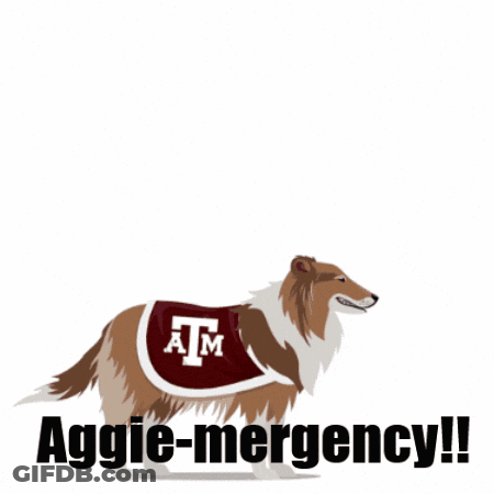 Dog Speech Bubble Gig Em Aggie Emergency GIF