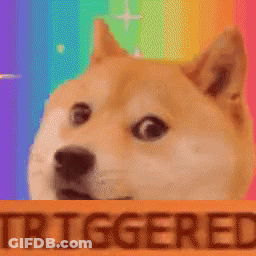 Dog Standing Behind Triggered Sign GIF
