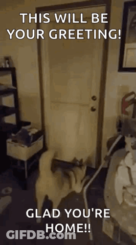 Dog Standing By Door Saying Welcome GIF