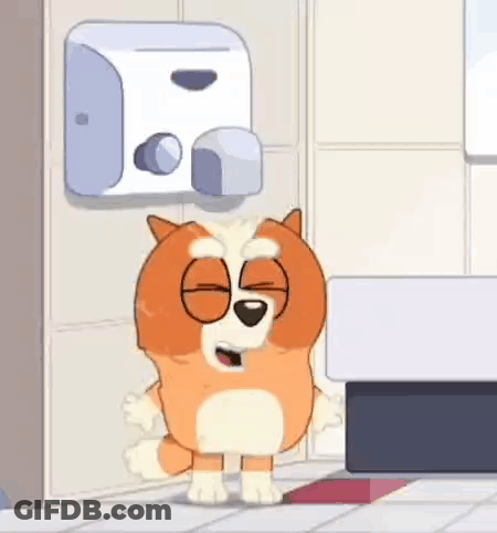 Dog Standing In Front Of Hand Dryer GIF