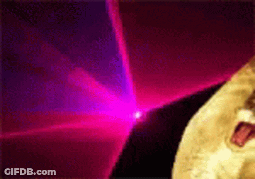 Dog Standing In Front Of Pink And Purple Lights GIF