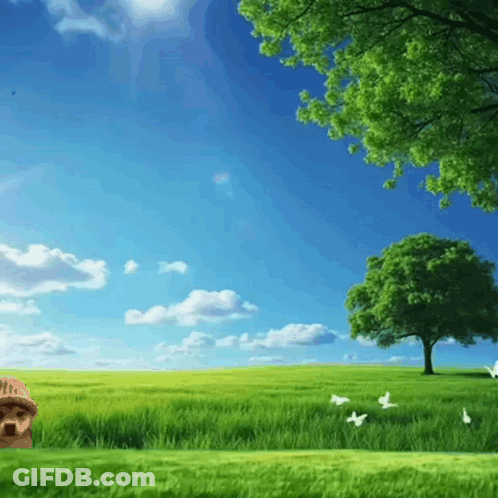 Dog Standing In Grass Field GIF