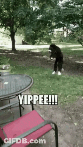 Dog Standing In Grass Saying Yippee GIF