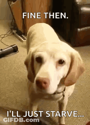 Dog Standing In Living Room Saying Fine Then I'll Just Starve GIF