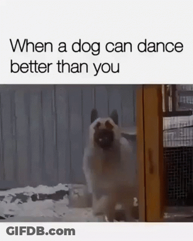 Dog Standing In Snow In Front Of Fence GIF