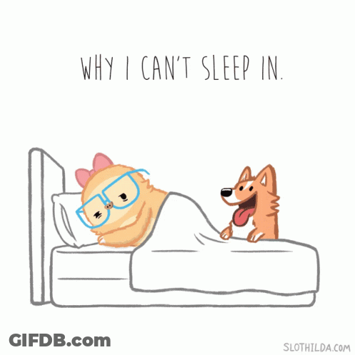 Dog Standing Next To Cat In Bed Saying Why I Can't Sleep In GIF