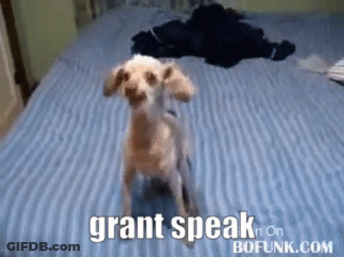 Dog Standing On Bed Saying Grant Speak On Bofunk GIF