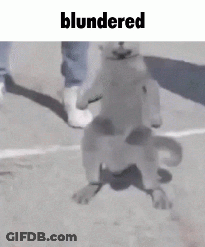 Dog Standing On Hind Legs Beside Person GIF