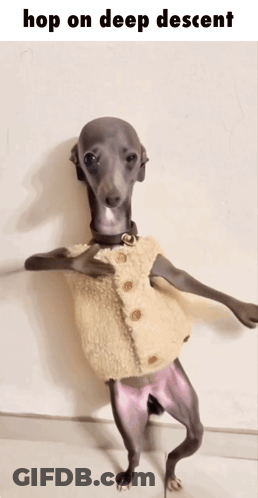 Dog Standing On Hind Legs Hop On Deep Descent GIF