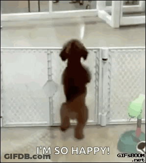 Dog Standing On Hind Legs Saying I'm So Happy GIF