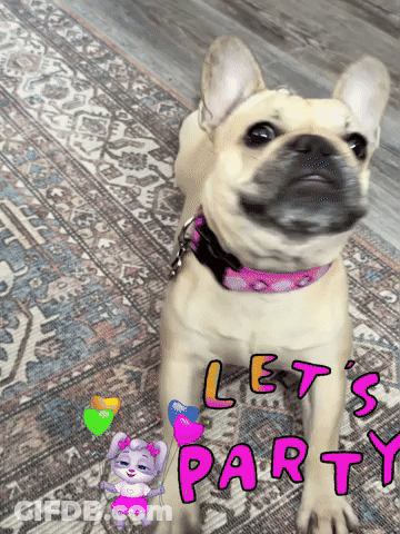 Dog Standing On Rug Saying Lets Party GIF