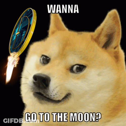 Dog Standing On Trampoline With Dogecoin Dream GIF