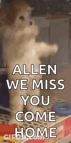 Dog Standing With Allen We Miss You GIF