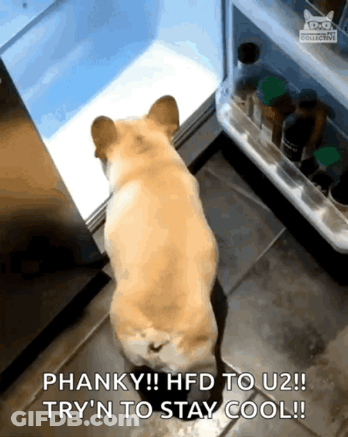 Dog Staying Cool Inside Refrigerator GIF