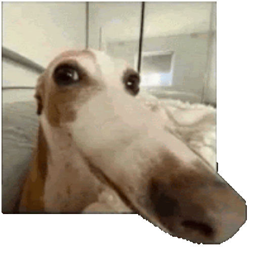 Dog Sticker GIF