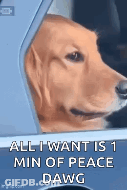 Dog Sticking Head Out Car Window Saying All I Want Is 1 Min Of Peace Dawg GIF