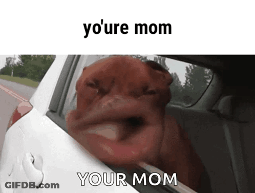 Dog Sticking Head Out Car Window Saying Yo Mom Your Mom GIF