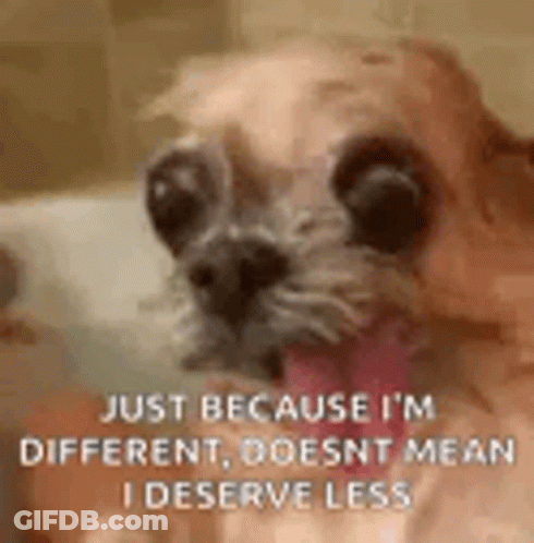 Dog Sticking Tongue Out In Bathtub With Quote GIF