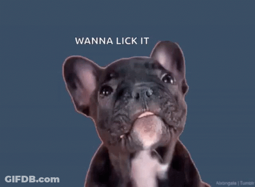 Dog Sticking Tongue Out Saying Wanna Lick It GIF
