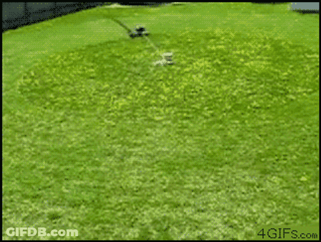 Dog Stuck In Lawn Mower Spiral Loop GIF