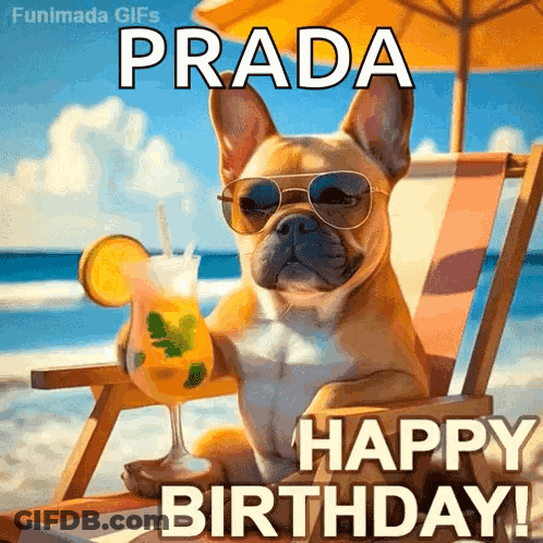 Dog Sunglasses Drink Wishing Prada Happy Birthday GIF