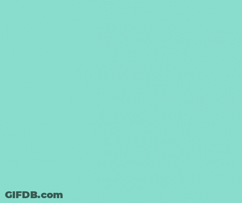 Dog Surrounded By Flowers GIF