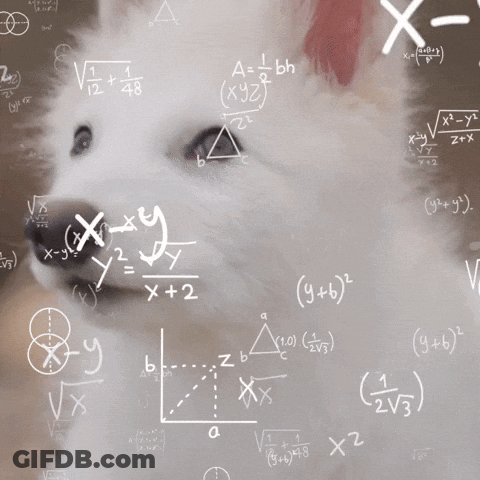 Dog Surrounded By Math Equations GIF