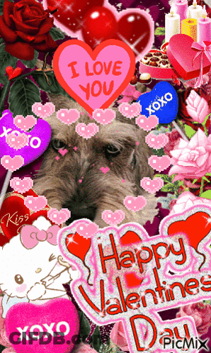 Dog Surrounded By Valentine Decorations Saying I Love You GIF