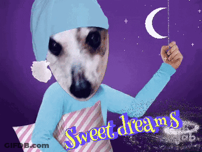 Dog Sweet Dreams GIF