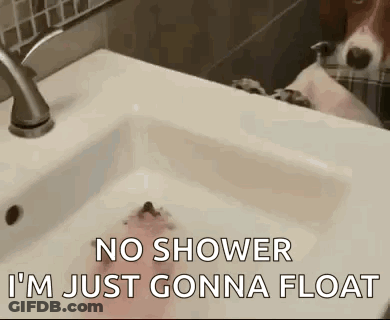 Dog Taking Bath In Sink No Shower I'm Just Gonna Float GIF
