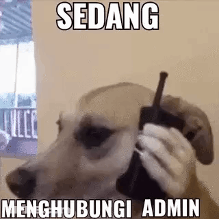 Dog Talking On Cell Phone GIF