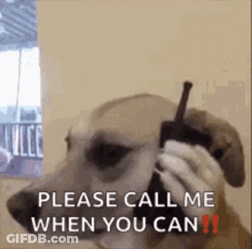 Dog Talking On Cell Phone GIF
