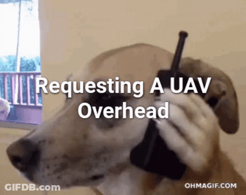 Dog Talking On Cell Phone Requesting UAV Overhead GIF