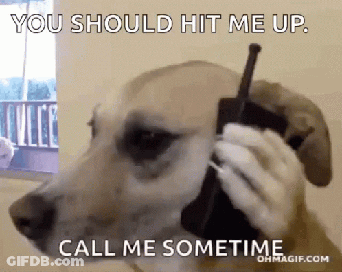 Dog Talking On Cell Phone Says You Should Hit Me Up GIF