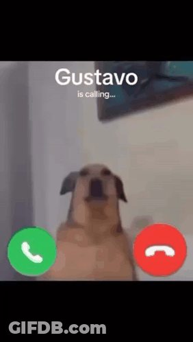 Dog Talking On Phone Gustavo GIF