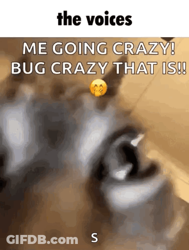 Dog The Voices Me Going Crazy Bug Crazy GIF