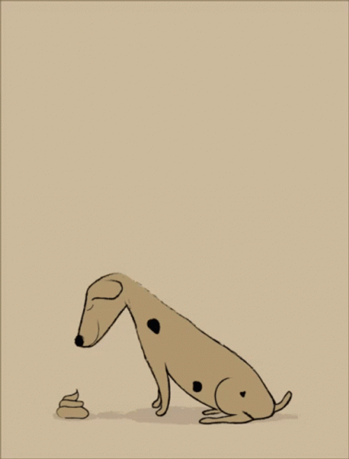 Dog Thinking Poop Is An Ice Cream GIF