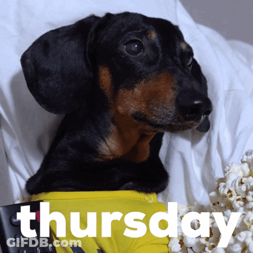 Dog Thursday Blessings GIF