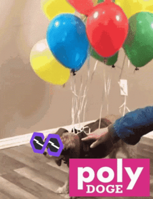 Dog Tied Balloons GIF