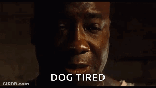 Dog Tired Man Close Up GIF