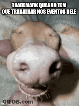 Dog Trademark Quando Tem Que Trabalhar Nos Events Dele GIF