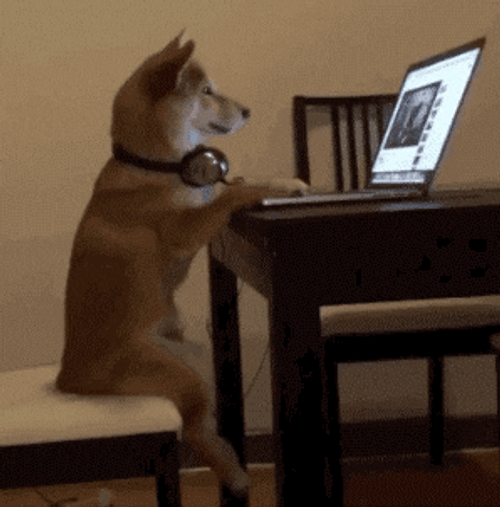 Dog Using A Computer GIF