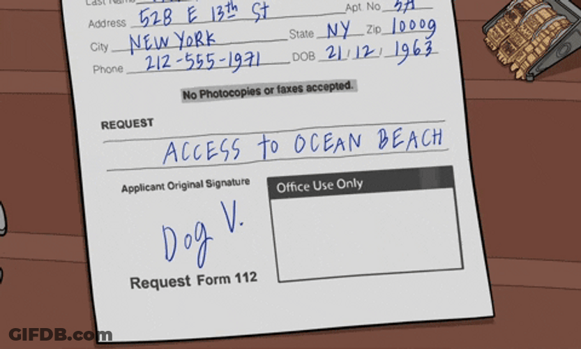 Dog V Denied The Receipt GIF