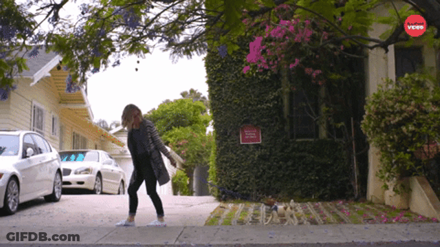 Dog Walking Next To The Girl GIF