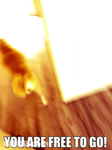 Dog Walking On Wooden Floor Saying You Are Free To Go GIF